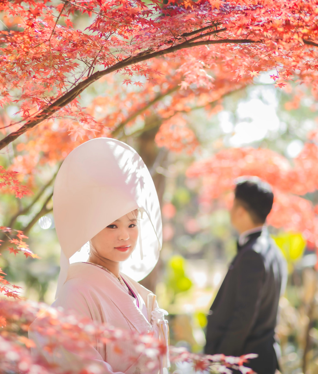日本の伝統的な婚礼衣装に身を包み、白い頭巾をかぶった女性が鮮やかな赤いカエデの葉の中に立っている。木漏れ日。.