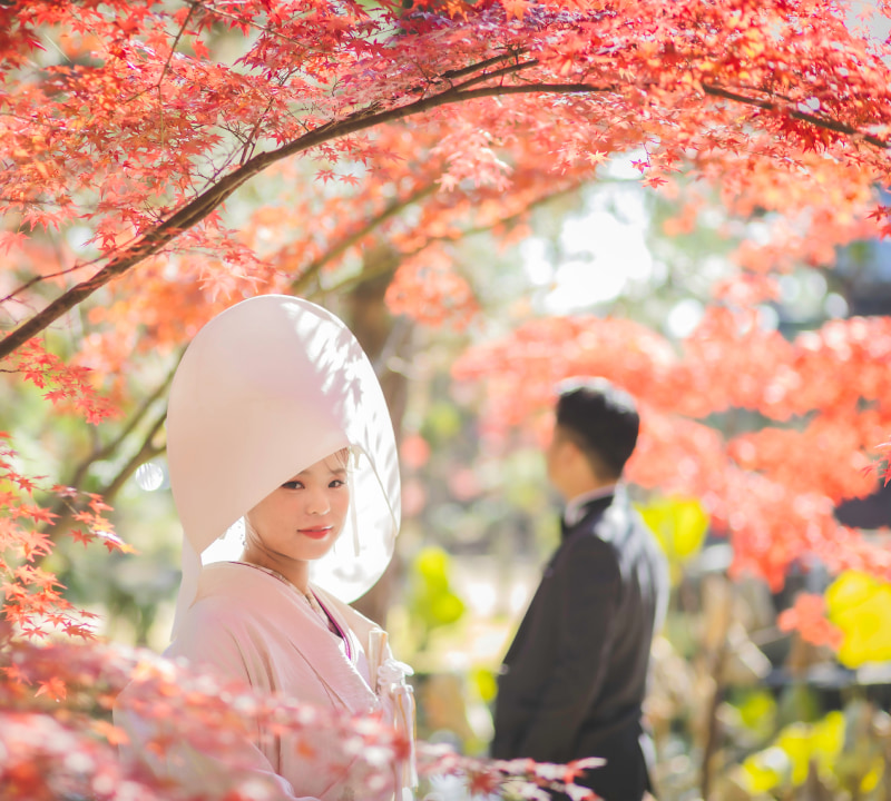 紅葉の中で和装の女性が白いかんざしをつけて立っている。背景には男性が立っている。